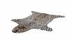 Leopard-(2)
