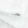 4200-Snow-(3)